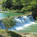 완도수목원산림박물관 네이버블로그