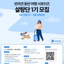 [주식회사 펫웍스] 반려견 동반 여행 서포터즈 살랑단 1기를 모집합니다! (~04/30) 이미지