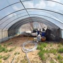 한적농장 이미지