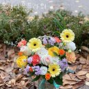 윤정다움플라워