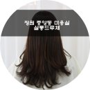 살롱드루체
