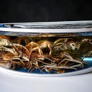 오이도 횟집 개방화장실 | 오이도 횟집 실패 없는 선택, 풍차횟집에서 즐기는 바다뷰 맛집 코스