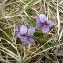 <흙 속의 숨결> 이미지