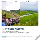 (주)공항국제여행사
