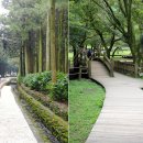 절물자연휴양림 이미지