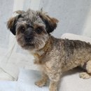 송월주유소 이미지