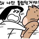 전가네왕족발 이미지