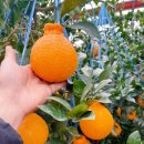 경철농장 이미지