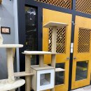 야옹아멍멍해봐(원성점) 이미지