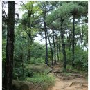 동부 비상-39호 | [20080823]강서구 개화산에서 행주대교건너 일산호수공원까지 도보여행 - 1