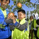 영주지역아동센터 이미지