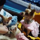 부농까까 이미지