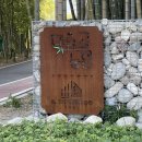 숲속의살룻 자연농원 | [순천 | 대룡동] 순천여행 닭구이 맛집 대숲골농원(주차, 웨이팅, 카페 인더밤부) 🐔