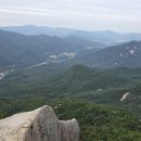 로앤로이드 행정사 사무소 | ●온라인 명예훼손,평판관리 이젠 전문 행정사에게 맡기세요!