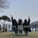 바다채 이미지