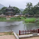 향원 티스토리
