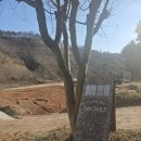 스테이(stay) | [청양] 스테이 돌레_내돈내산 후기 (Stay DOLE)