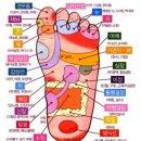 발마사지 Daum카페