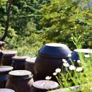 그늘과 빛의 기억 이미지