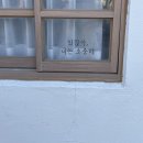 변산애 이미지