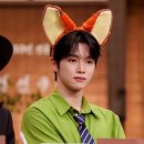 도레미노래기획 mbc 연예