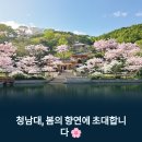 청주 청남대 봄 나들이