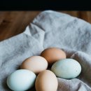 올래농장 이미지