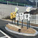 놀거리] 진도농협 울금가공사업소 : 울금 스파, 진도...의사 100% (요금, 주차, 위치, 솔직후기, 내돈내산)