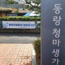 제17회 청마문학제 이미지
