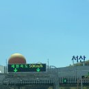 테라스 | 당진여행 청보리밭 뷰 카페 피어라 테라스 후기