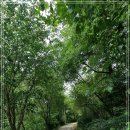 서호꽃뫼(2) 이미지