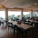 천지 애견 이미지