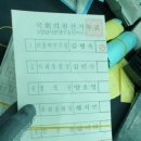 호당 이미지