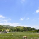 지효목장 이미지