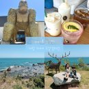 경주 바다를 통째로 품은 오션뷰 카페/더킹 경주 주상절리점 후기