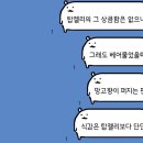 자갈치총각 후기 - 애플망고 젤리, 오징어 건어물 개존맛