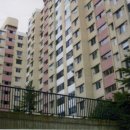 강남-206 이미지