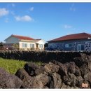 돌집조앤정 이미지