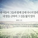 오늘의 &#39;영어성경 사진&#39;(351강) “잘못된 길들에 발을 들여놓지 마라”(잠언 1장 15절) 이미지