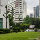 나를위한시간미술학원 | 퇴근 후 나를 위한 시간, 잠실 미술학원 카우치 드로잉 클럽 아이패드 드로잉 클래스 리뷰