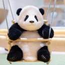 푸바오 &#34;59만원 너무 비싸요&#34;…중국에서는 115만원에 판다는 &#39;이 인형&#39;[궁금증연구소]