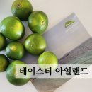 테이스티아일랜드