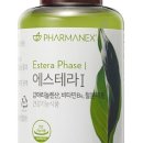 에스테라 이미지