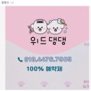 위드댕댕 이미지