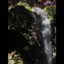 굿모닝카서비스 | 부산 렌트카 추천 굿모닝 렌트카 부산에서 믿고 탈 수 있는 렌트카