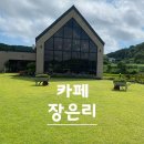 장은리 | [충남 보령] 초록 초록한 카페 장은리 방문 후기