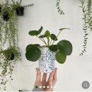 우긋 이미지