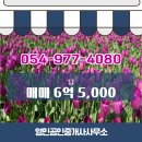 영민공인중개사사무소 이미지