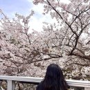 세븐일레븐신산파크점