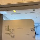 권정호미술관 | 대구 미술관 - 무료 전시 &#39;나를 만나는 계절&#39; 추천 후기